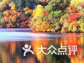 有哪些不带穷字但是一听就很穷的话？ ​游戏画面
