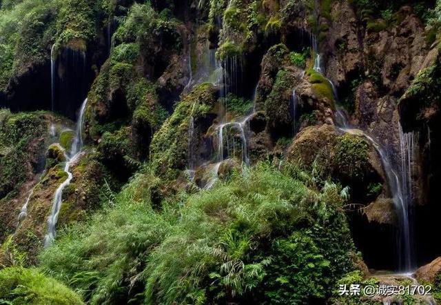 成都温江一社区发布儿童友好生态圈研学路线